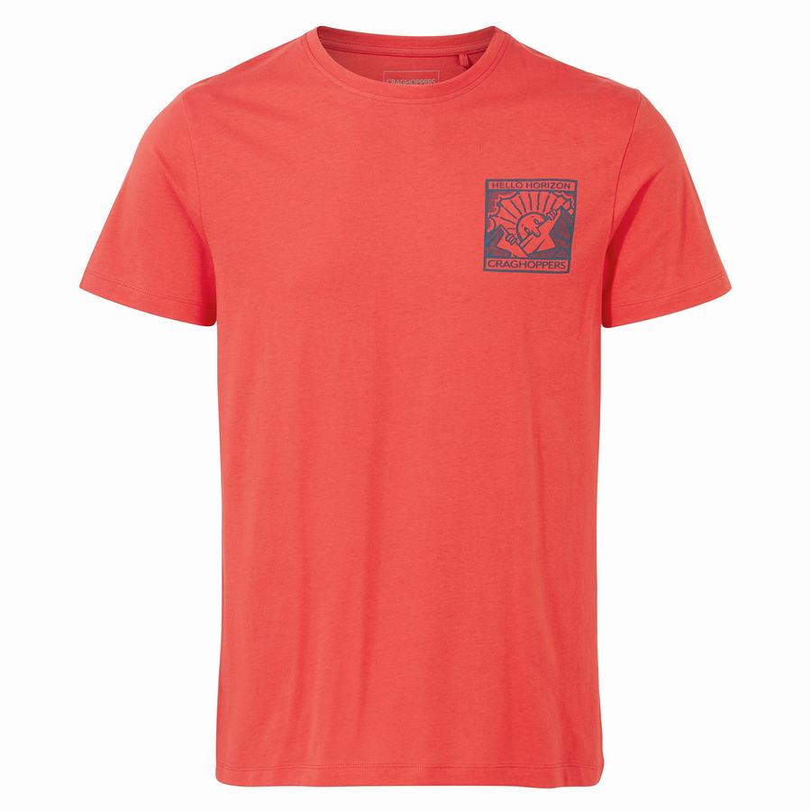 Orange Red Craghoppers Lugo Short Sleeved Men\'s T-Shirts | TWB8837YC