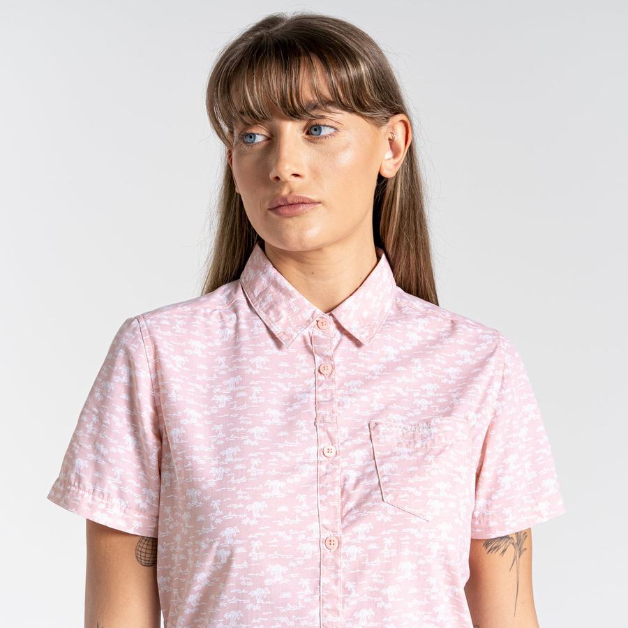 Pink Craghoppers NosiLife Tillia Short Sleeved Women's Shirts | FZK8597EY