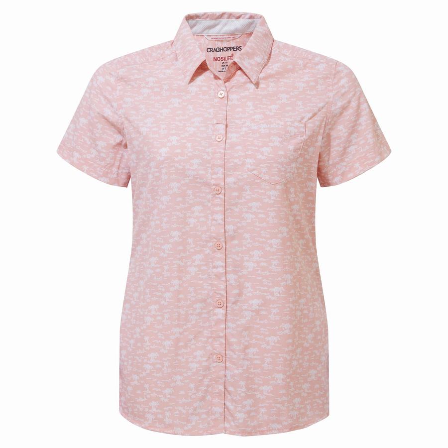 Pink Craghoppers NosiLife Tillia Short Sleeved Women's Shirts | FZK8597EY