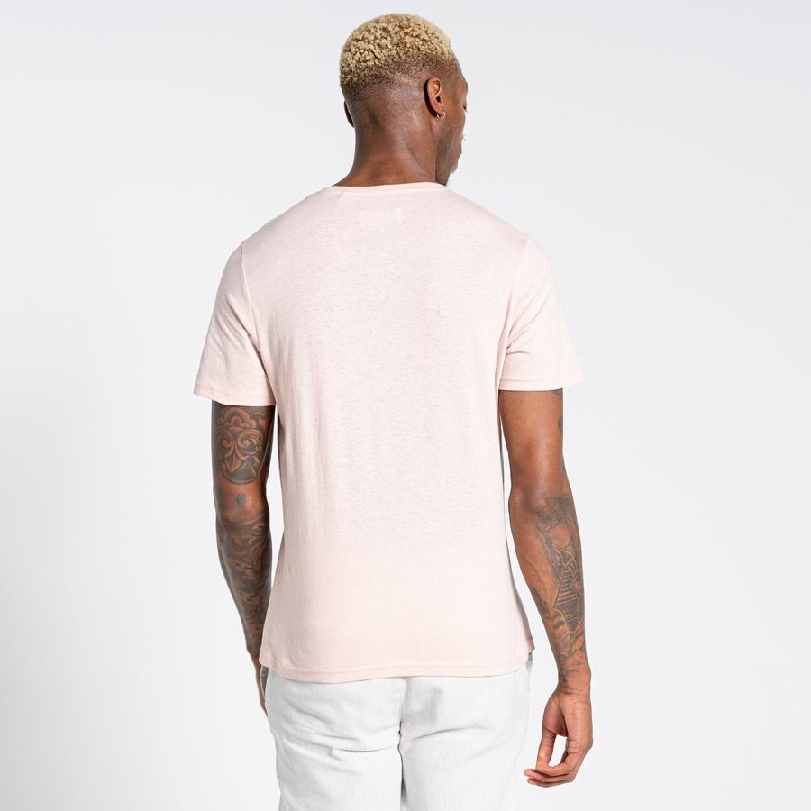 Pink Craghoppers Nosibotanical Sten Short Sleeved Men's T-Shirts | XBD124KD