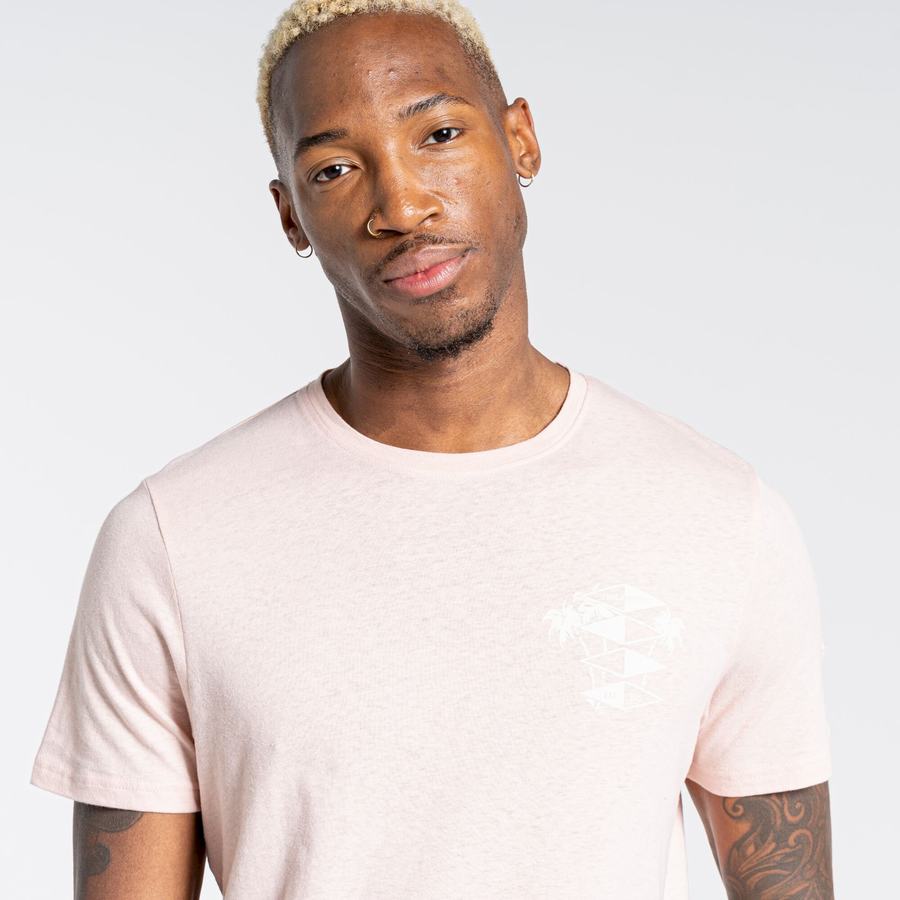 Pink Craghoppers Nosibotanical Sten Short Sleeved Men's T-Shirts | XBD124KD