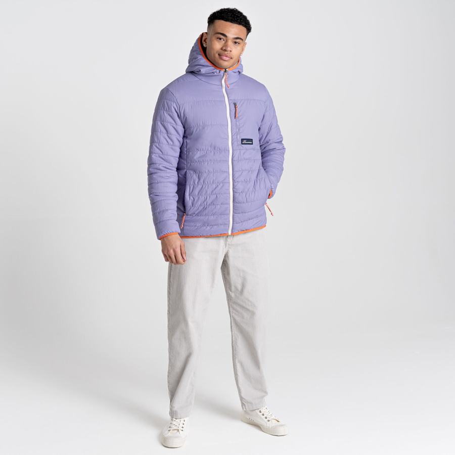 Purple Craghoppers Cameo CompressLite Hooded Men's Jackets | BFS7731GW