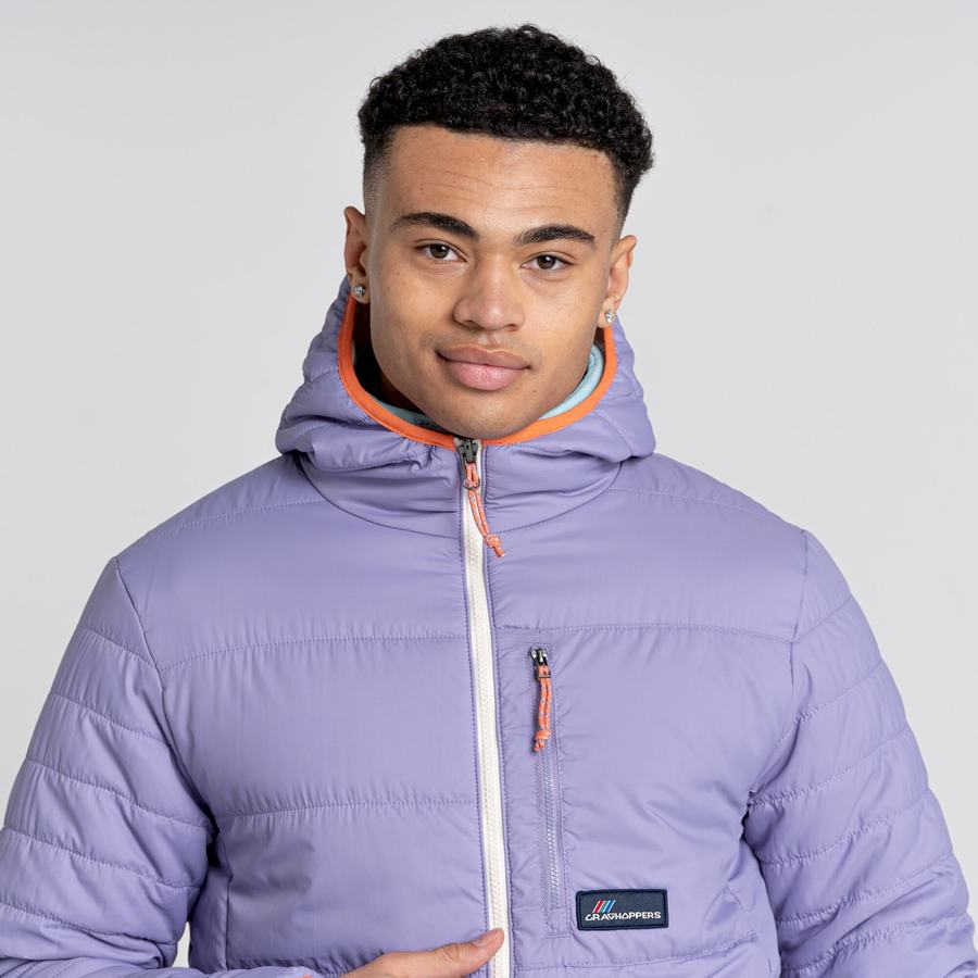 Purple Craghoppers Cameo CompressLite Hooded Men's Jackets | BFS7731GW