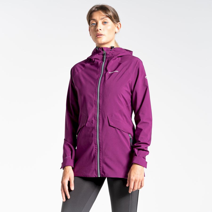 Purple Craghoppers Minola GORE-TEX Women's Jackets | PAB6477MJ