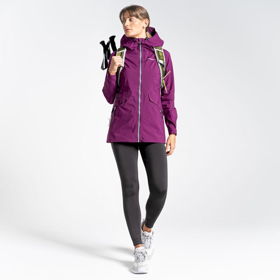 Purple Craghoppers Minola GORE-TEX Women's Jackets | PAB6477MJ