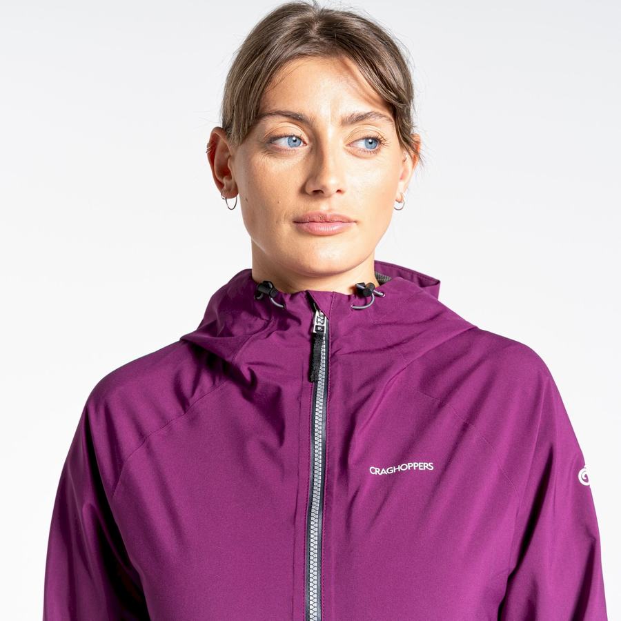 Purple Craghoppers Minola GORE-TEX Women's Jackets | PAB6477MJ