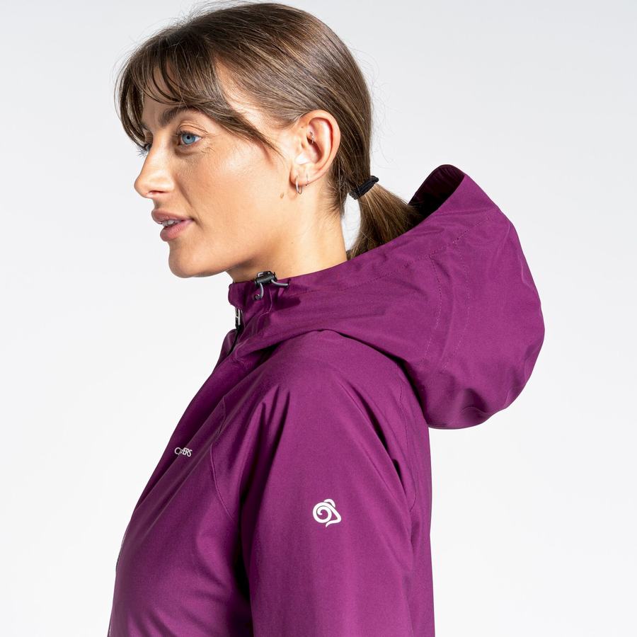 Purple Craghoppers Minola GORE-TEX Women's Jackets | PAB6477MJ