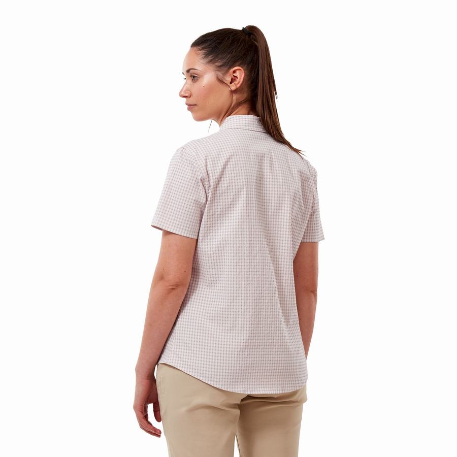 Purple Craghoppers Nasima Short Sleeved Women's Shirts | IAQ764OC