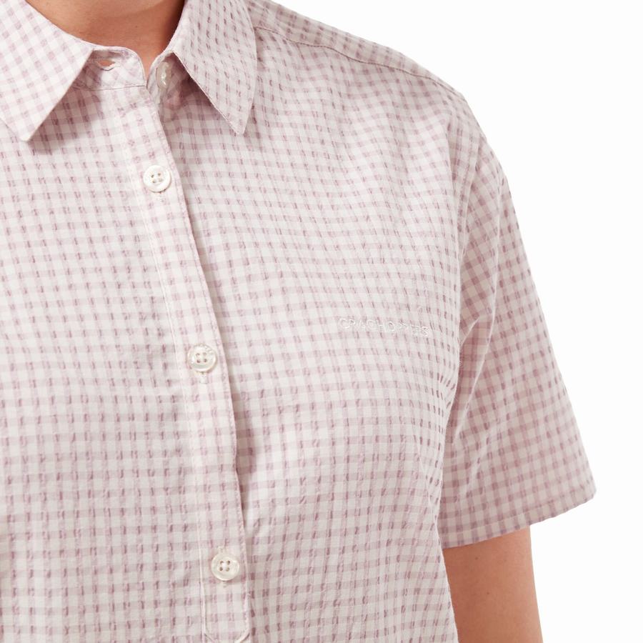 Purple Craghoppers Nasima Short Sleeved Women's Shirts | IAQ764OC