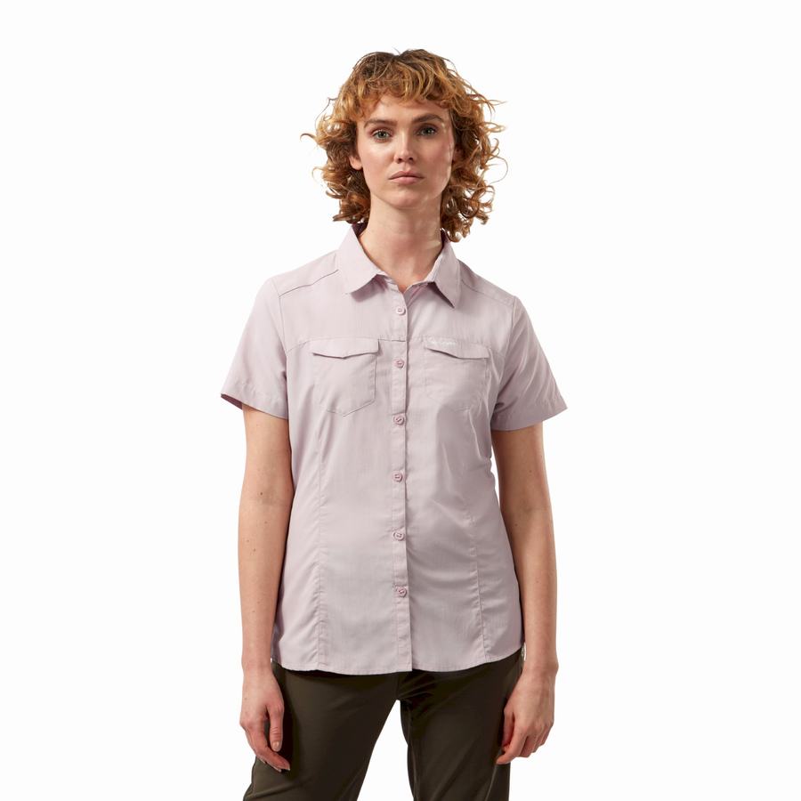 Purple Craghoppers NosiLife Adventure II Short Sleeved Women's Shirts | ASG9871WL