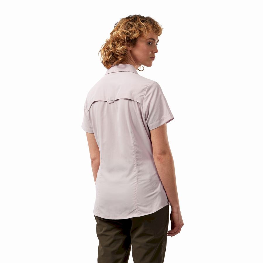 Purple Craghoppers NosiLife Adventure II Short Sleeved Women's Shirts | ASG9871WL