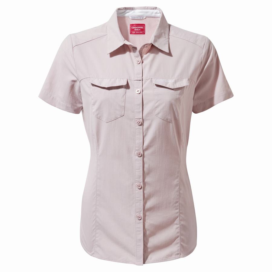 Purple Craghoppers NosiLife Adventure II Short Sleeved Women's Shirts | ASG9871WL