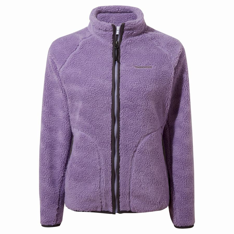 Purple Craghoppers Salara Women's Jackets | CDN9989FW