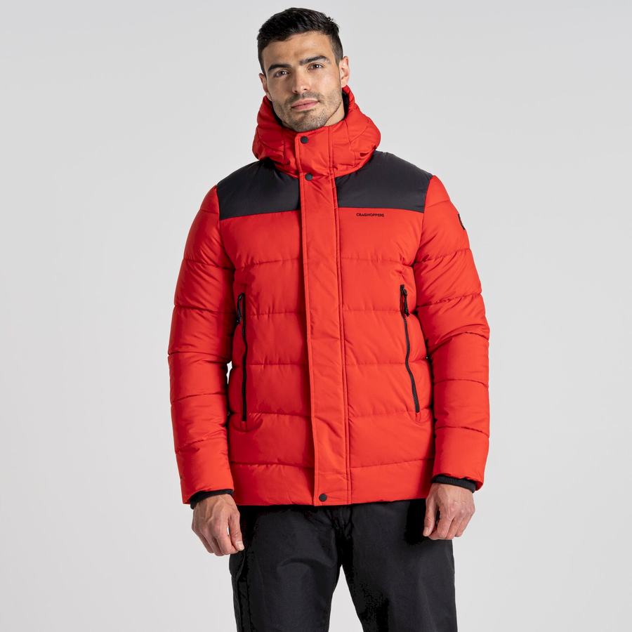 Red Black Craghoppers Sutherland Insulated Hooded Men's Jackets | NSW452PE