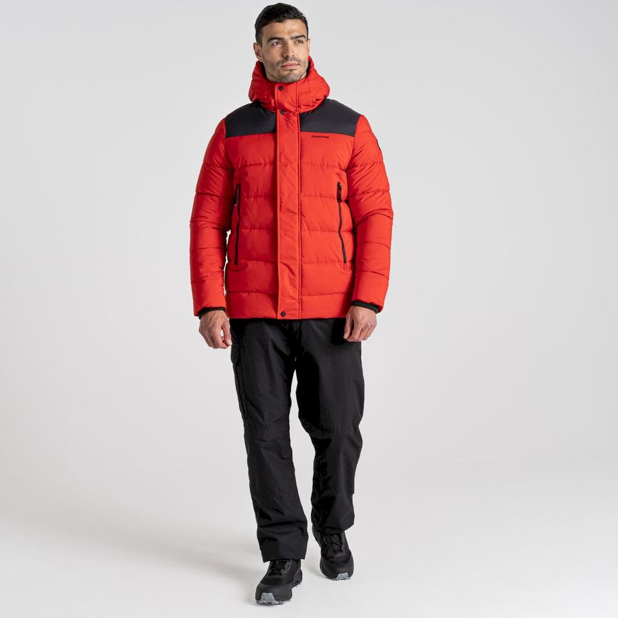 Red Black Craghoppers Sutherland Insulated Hooded Men's Jackets | NSW452PE