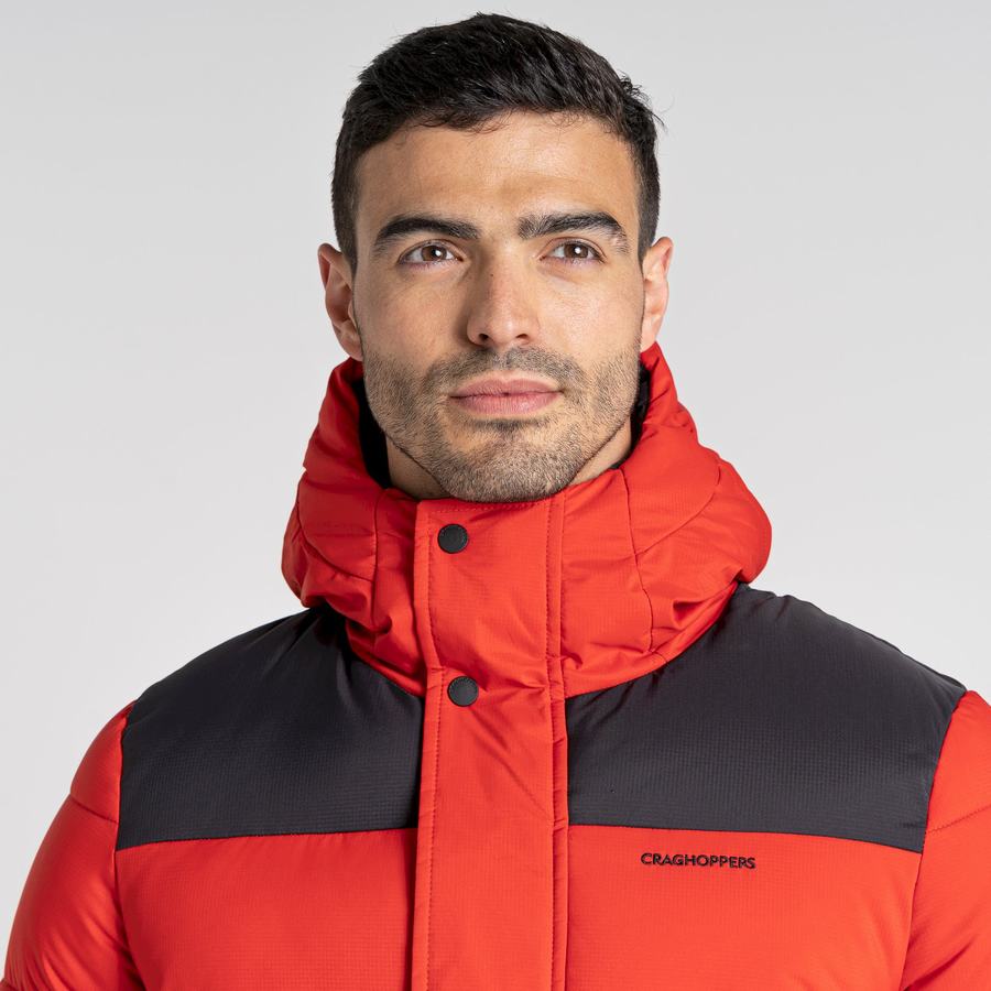 Red Black Craghoppers Sutherland Insulated Hooded Men's Jackets | NSW452PE