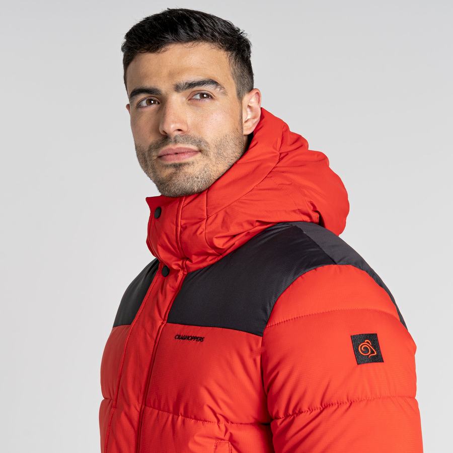 Red Black Craghoppers Sutherland Insulated Hooded Men's Jackets | NSW452PE