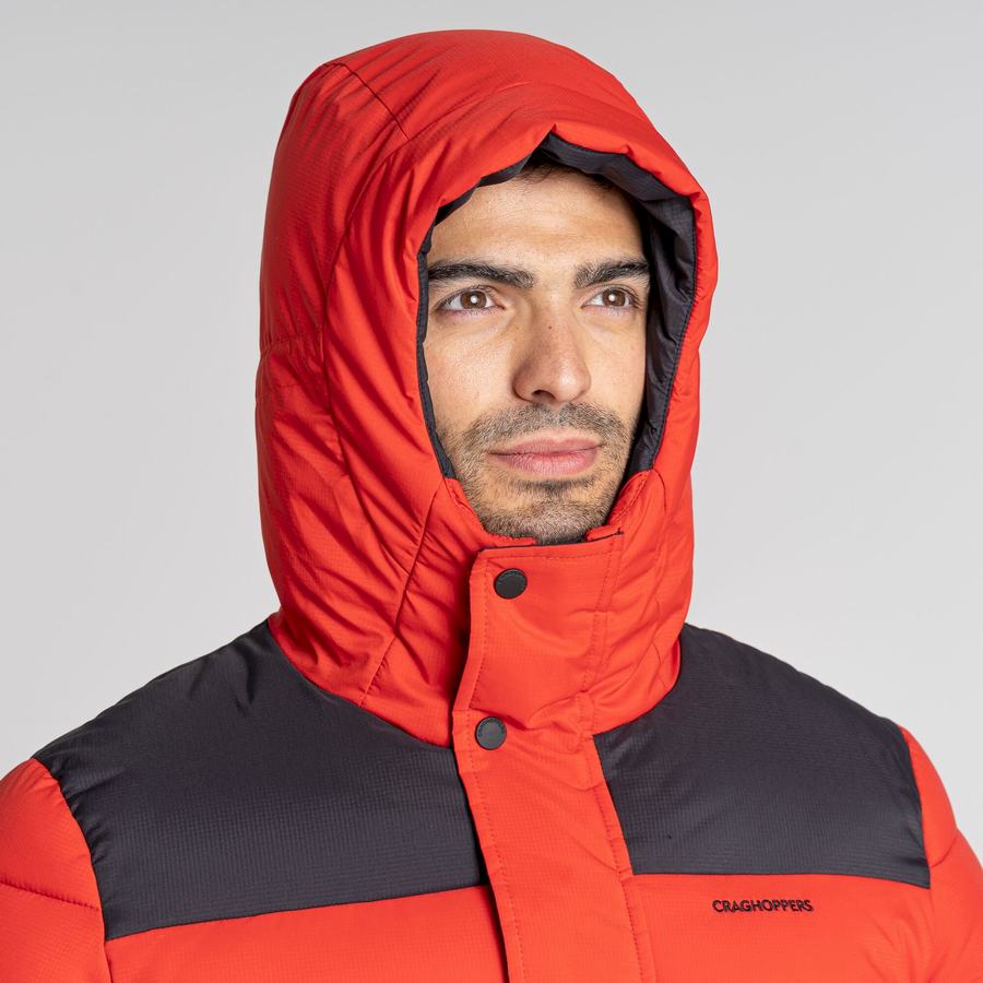 Red Black Craghoppers Sutherland Insulated Hooded Men's Jackets | NSW452PE