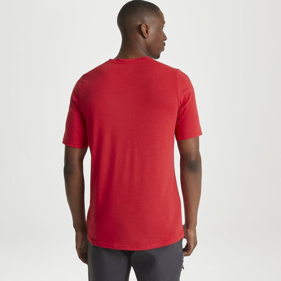 Red Craghoppers Dynamic Short Sleeved Sriracha Red Men's T-Shirts | LMI5048NI