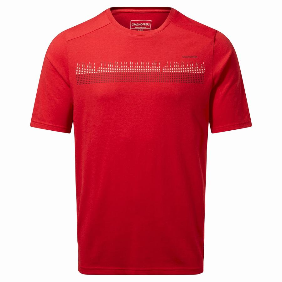 Red Craghoppers Dynamic Short Sleeved Sriracha Red Men's T-Shirts | LMI5048NI