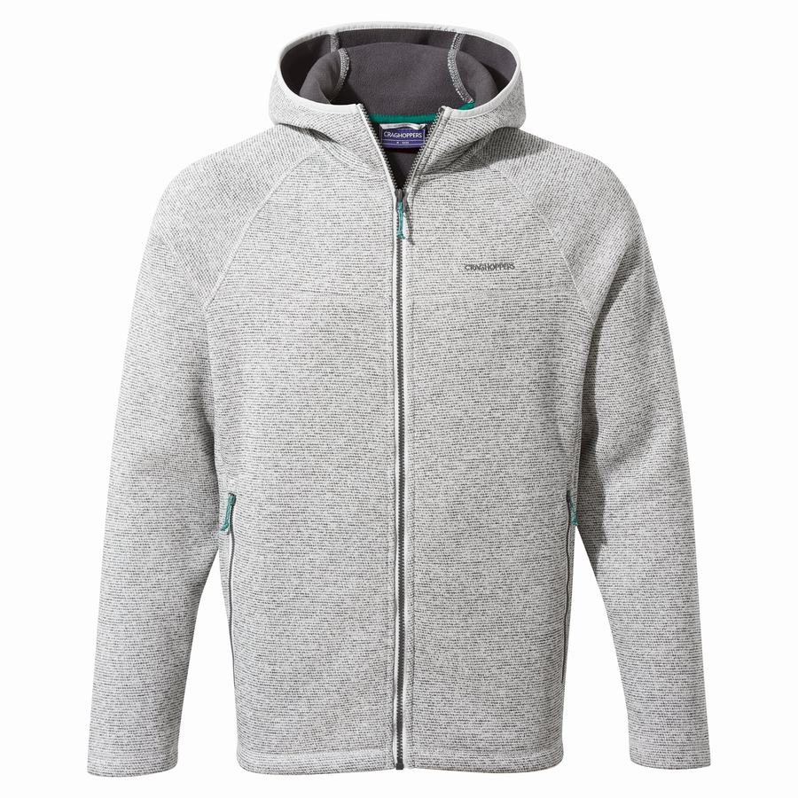 Silver Craghoppers Brayden Hooded Men's Sweaters | KPG4471GJ