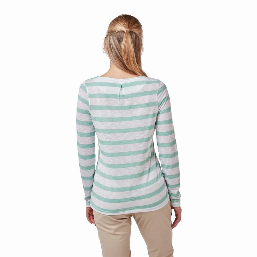 Turquoise Stripes Craghoppers NosiLife Erin Long Sleeved Women's T-Shirts | EPN1360UT