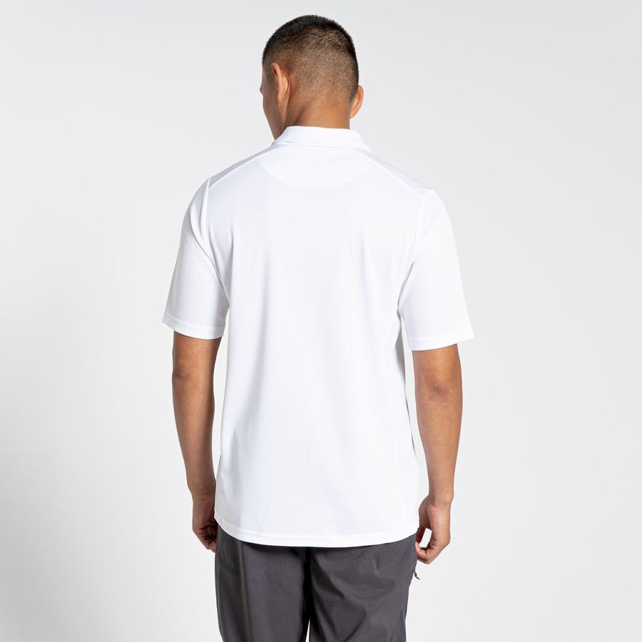 White Craghoppers NosiLife Pro Active Short Sleeved Polo Men's T-Shirts | ZAC8811VN