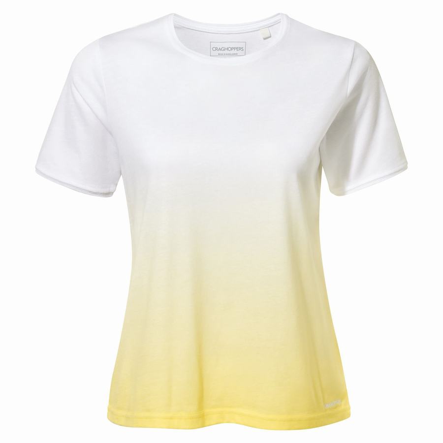 White Yellow Craghoppers Ilyse Short Sleeved Women's T-Shirts | YBP5355RS