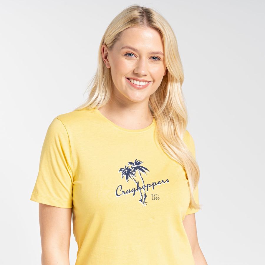 Yellow Craghoppers Ally Short Sleeved Women's T-Shirts | XOW2380PS