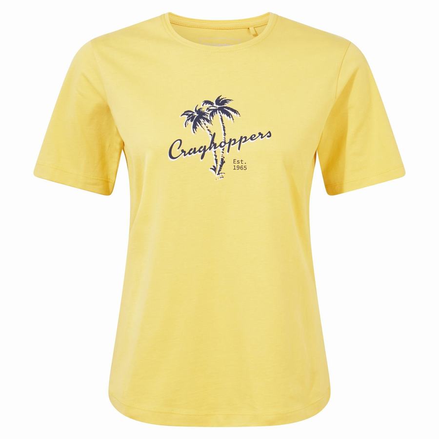 Yellow Craghoppers Ally Short Sleeved Women's T-Shirts | XOW2380PS