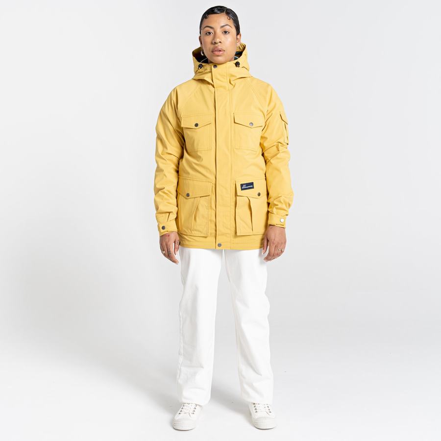 Yellow Craghoppers Canyon Men's Jackets | LDH6723TH