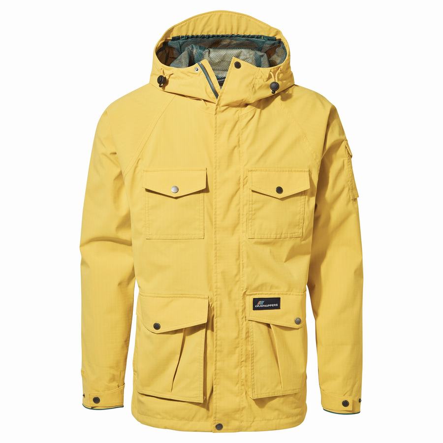 Yellow Craghoppers Canyon Men\'s Jackets | LDH6723TH